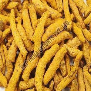 A Grade Turmeric Finger, Color : Bright Yellow, Packaging Type : Bag
