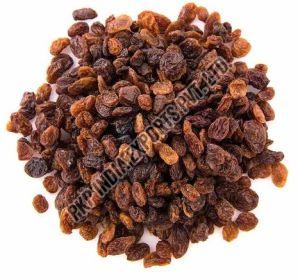 Seedless Dried Brown Raisins, Packaging Type : Plastic Bag