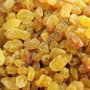 Yellow Dried Raisins, Taste : Sweet, Packaging Type : Plastic Bag