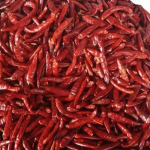 Endo 5 Dried Red Chilli