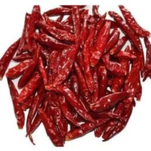 Organic Wrinkled 273 Dried Red Chilli Food Grade for Cooking