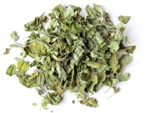 Premium Dried Moringa Oleifera Leaves