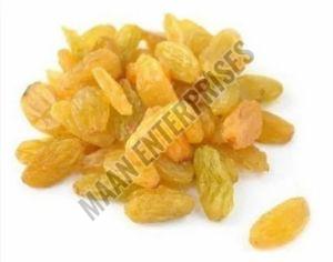 Sweet Golden Raisins, Packaging Type : Plastic Bag