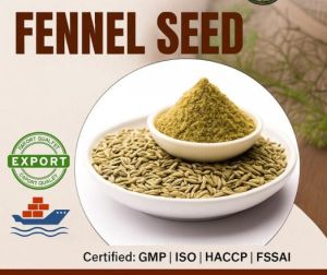 Fennel Seeds