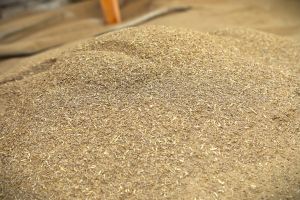 Cow Dung Powder, Brand Name : Gsd Organics