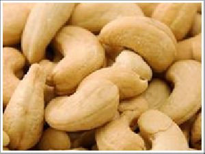 cashew nut