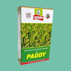 paddy special