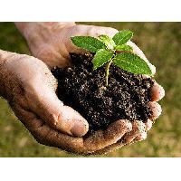 Bio Organic Fertilizer