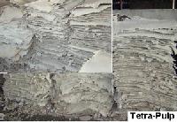 Tetrapulp