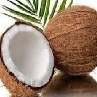 4. Semi Husked Coconut (fresh Coconut)