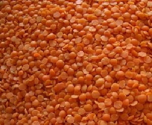 Split Red Lentils