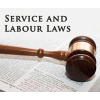 Company Law & Labour Law Consultants