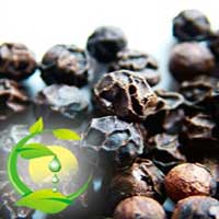Black Pepper Seeds Oil