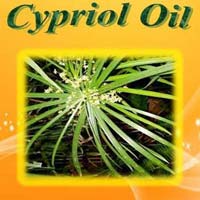 Bulk Cypriol Oil