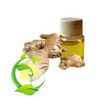 Ginger Oil