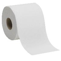 toilet tissue