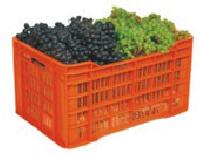 Plastic Crates-Grapes