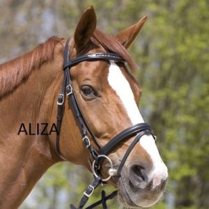 Bridle With Chain Clincher