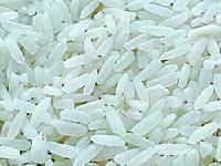 Rice - 02