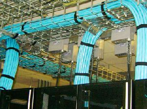PLANT CABLING