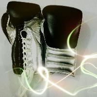 Boxing Gloves Premium Quality Genuine Leather