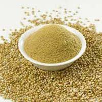 coriander powder