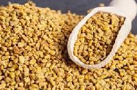 fenugreek seeds