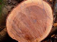 Bubiga Wood