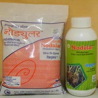 Nodular Biofertilizer
