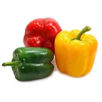 Fresh Capsicum