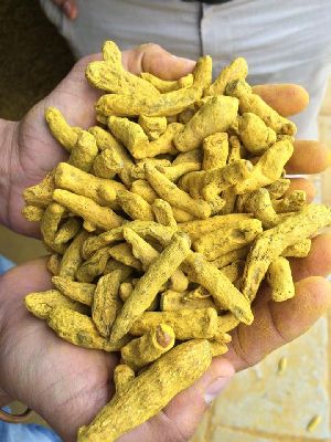 turmeric fingers