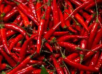 Fresh Red Chilli