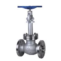 Cryogenic Globe Valve