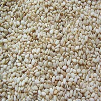 Indian Sesame Seeds