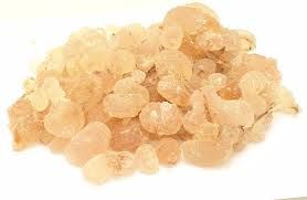 Gum Arabic Acacia