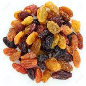 Dried Raisin - Manufacturers, Suppliers & Exporters in India