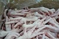 Quality Frozen Chicken Feet