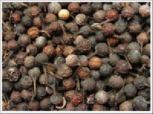 Cubebs Spices