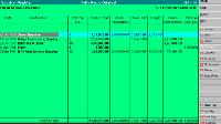 Tally Accounting Software