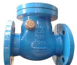 Cast Iron Swing Check Valves