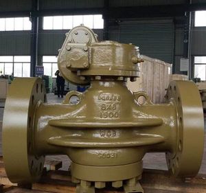 Reduced Bore Plug Valves