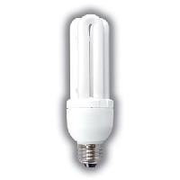 Compact Fluorescent Light