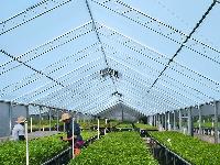 agricultural greenhouses