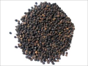 black pepper,  Shelf Life : 1 Year