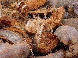Coconut Husk