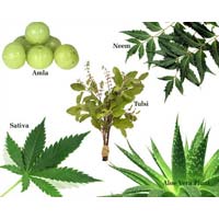 Medicinal Plants