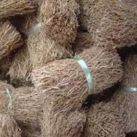 vetiver root