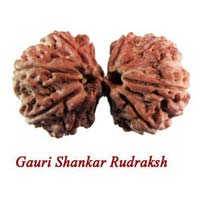 Gauri Shankar Nepali Rudraksha Beads
