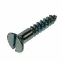 CSK Slotted Screw