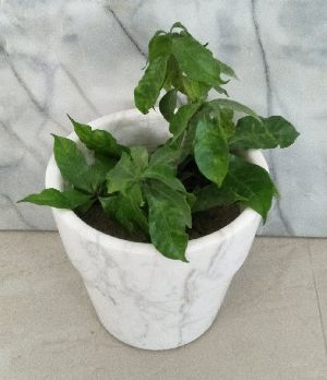 Natural Marble Gardening Plant Container